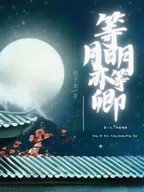 等明月亦等卿