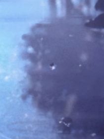 你是我永遠追隨的光