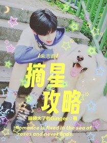 朱志鑫：摘星攻略