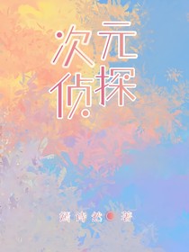 次元侦探