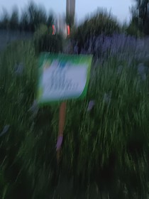 烟起落幕
