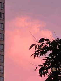 冰绿茶和拿铁咖啡的随笔