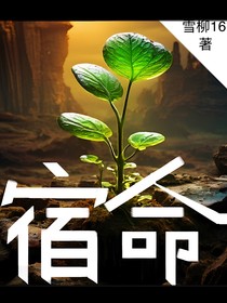 虚构小说：宿命（没错名字有点中二）