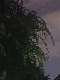 重栀
