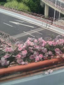 規(guī)則怪談之詭異校園1