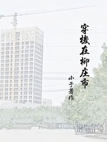 穿梭在柳庄市