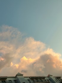 体弱的狐狸记者和优秀的兔子医生