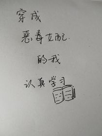 穿成恶毒女配后我认真学习
