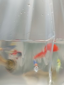 爆炸新闻