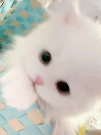 我们明天见好吗