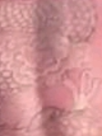 小说穿越者