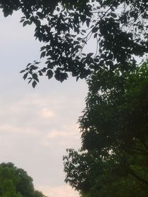 文案集合馆（勿喷）