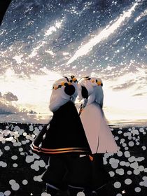 光遇之星辰守护