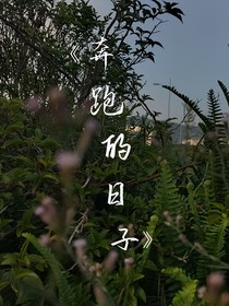 奔跑的日子
