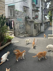 不曾抵达的世界