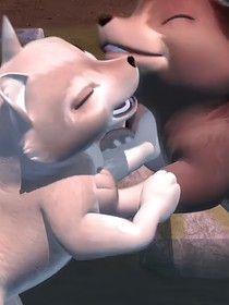 小狼旺吉：旺帕恋