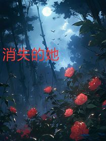 TF三代：消失的她