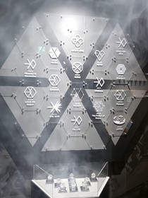 EXO：疯子的世界