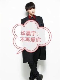 华晨宇：不再爱你