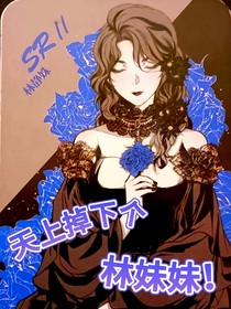 残次品：天上掉下个林妹妹