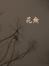 花無