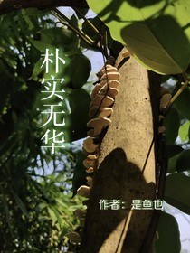 朴实无华