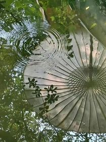 清澈水眸夢言歸人