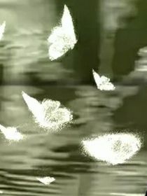 曾千遍在脑里浮想