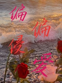 偏偏侵爱