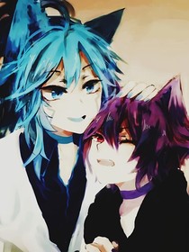 伽小猫化