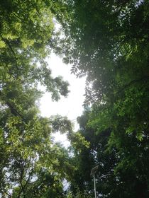 冬季暗戀