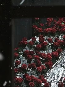 无人知晓的答案（4）