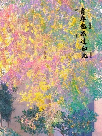 青春也不过如此
