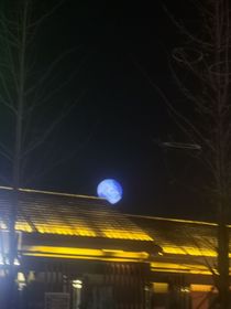 咒回之第四天灾她没有心