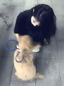 爱已溺