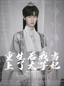 张真源：重生后我当上了太子妃