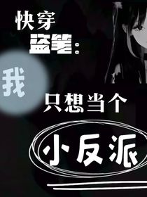 快穿盗笔：我只想当个小反派