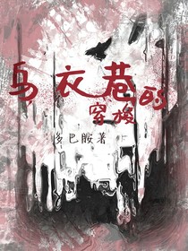 乌衣巷的穿梭
