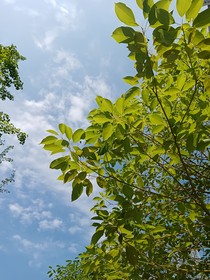 逝于暖阳