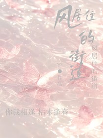 名侦探柯南：风居住的街道