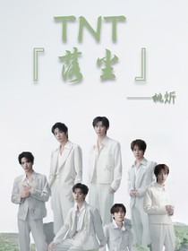 TNT：落尘