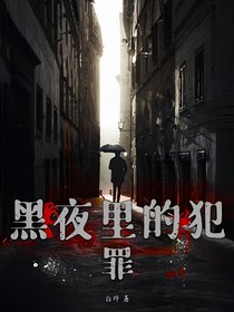黑夜里的犯罪