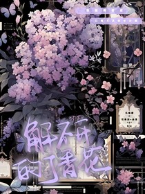 解不開(kāi)的丁香花