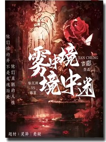 霧中境，境中迷