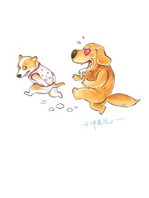 风吹念吸