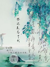 你还是忘了我