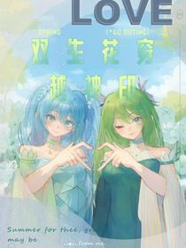 雙生花穿越神印