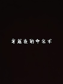 穿越夜的命名术