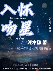 入怀吻星