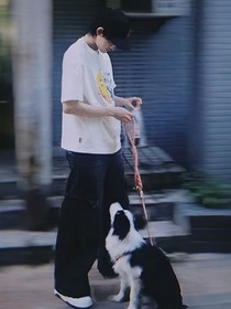 狗狗给我签红线